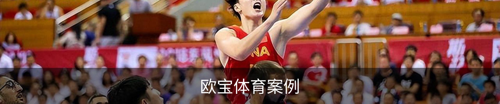 欧宝体育案例